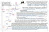 sto51 stokes alone_thumb.gif